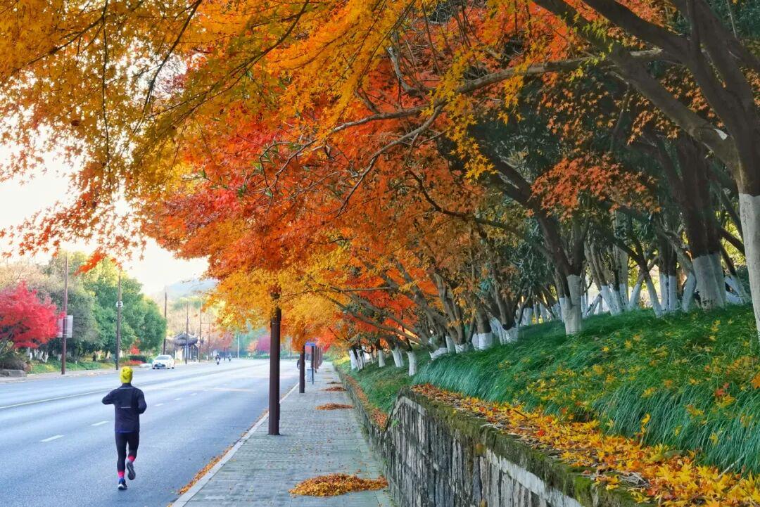 Góc Nhìn EX88: Đếm ngược bán marathon Tương Hồ! Hãy lưu lại cẩm nang dạo chơi và ăn uống này n